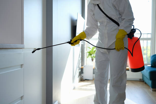 Best Certified Mold Removal  in Utica, OH