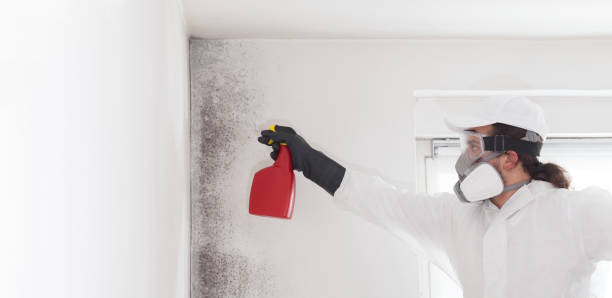 Best Professional Mold Removal  in Utica, OH