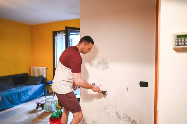 Attic Mold Removal in Utica, OH